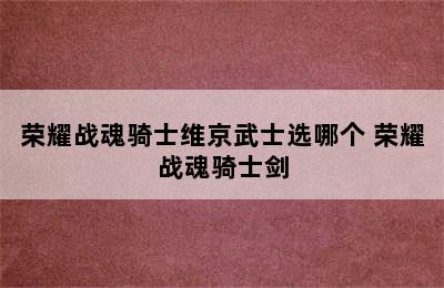 荣耀战魂骑士维京武士选哪个 荣耀战魂骑士剑